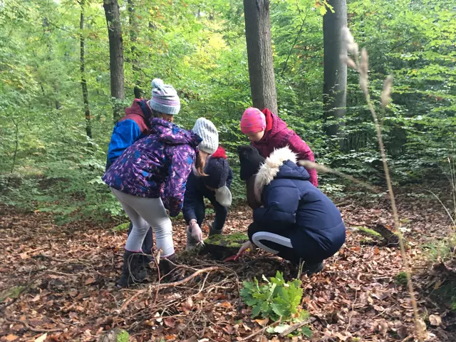 Kinder im Wald